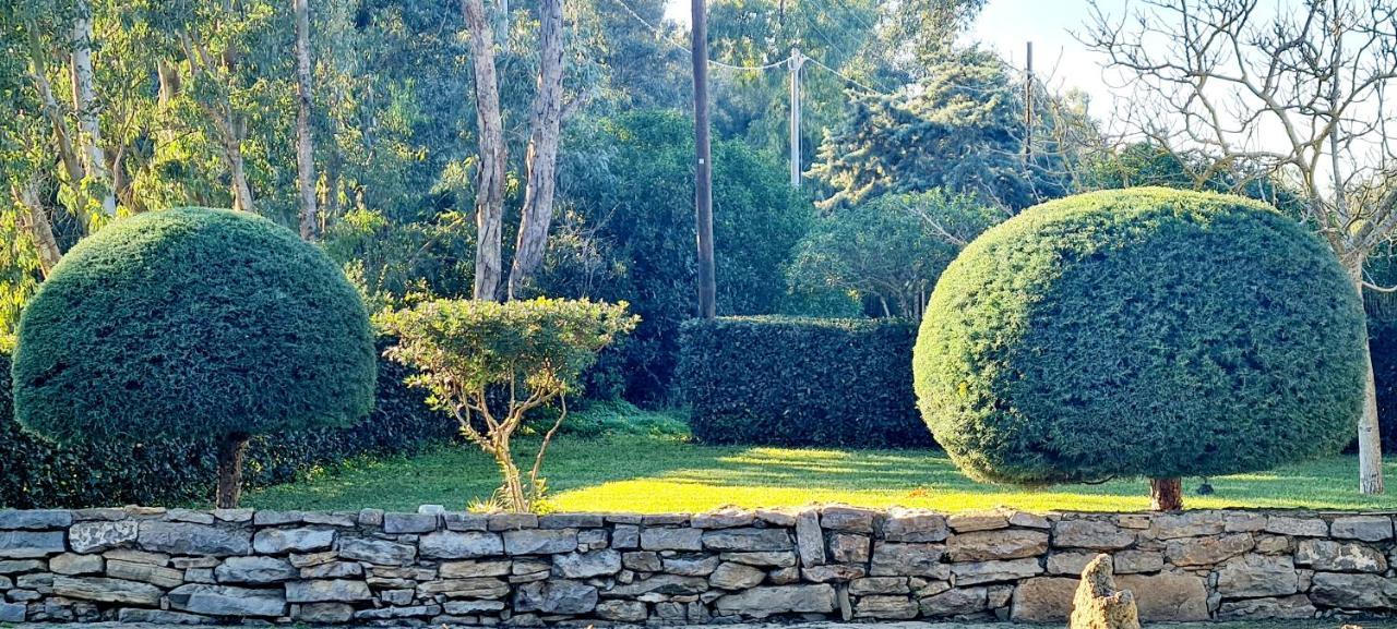 סנטה מריה לה פלמה Sa Branda Costa Country Alghero מראה חיצוני תמונה
